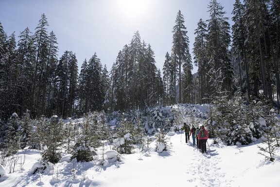 Schneeschuhwandern ©Wildkogel-Arena Neukirchen & Bramberg